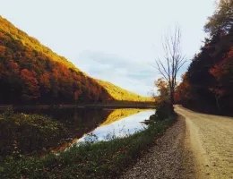 Ольга К.